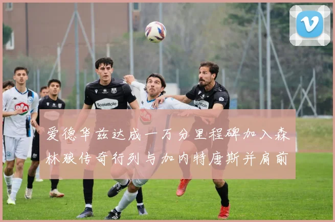爱德华兹达成一万分里程碑加入森林狼传奇行列与加内特唐斯并肩前行